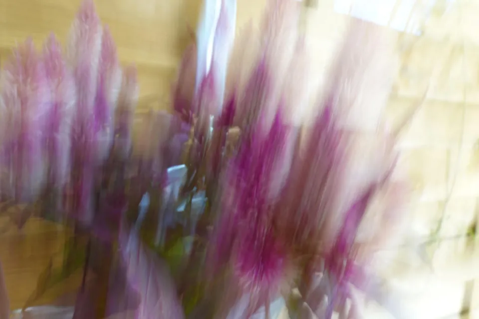 Blumen in Bewegung