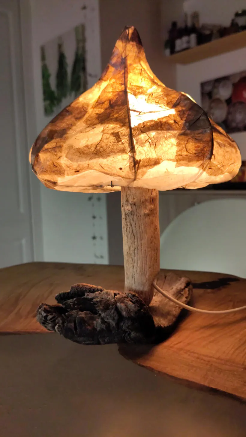 Handgefertigte Leuchte aus Naturpapier