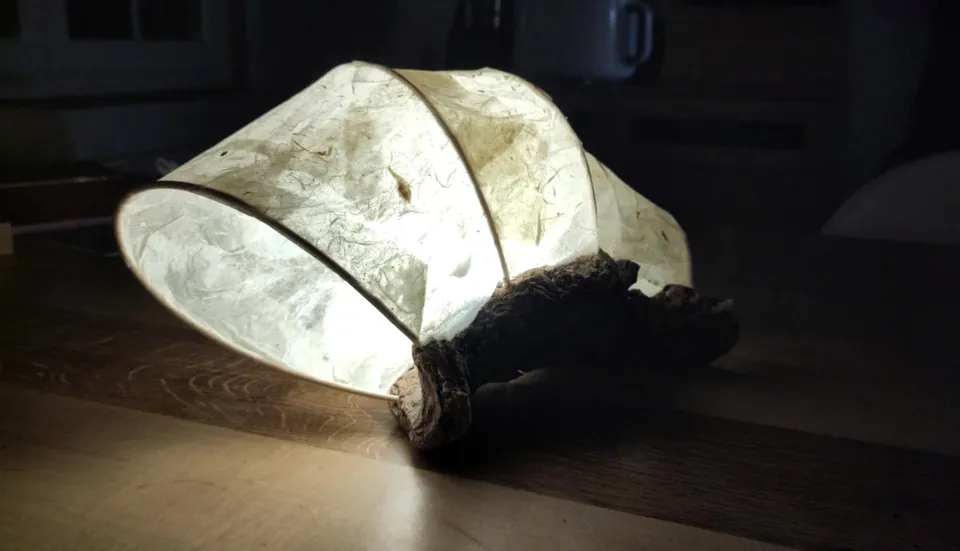Handgefertigte Leuchte aus Naturpapier